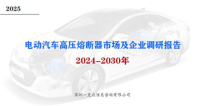 2024-2030年电动汽车高压熔断器市场及企业调研报告(图2)