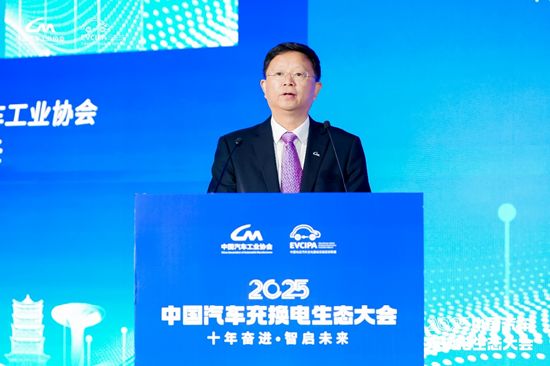 十年答卷2025中国汽车充换电生态大会合肥开幕(图3)