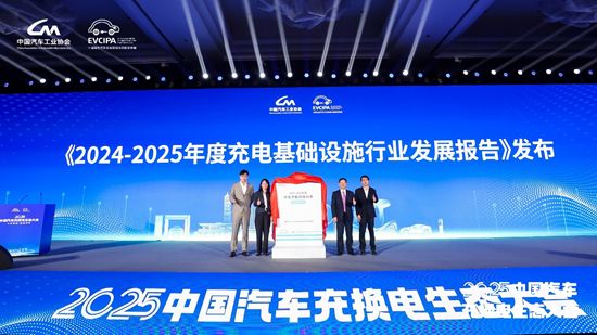 十年答卷2025中国汽车充换电生态大会合肥开幕(图5)