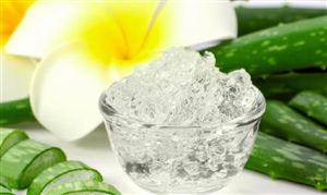 充电桩行业前景展望2024年全国计划新增公路服务区充电桩3000个(图2)