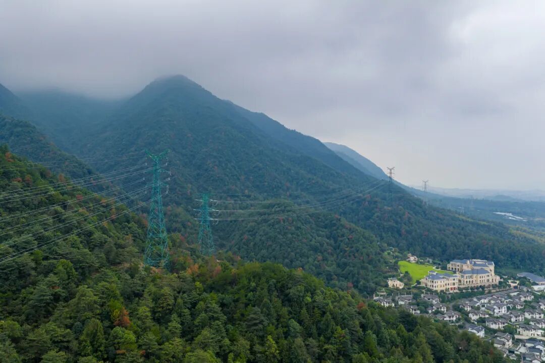 “十四五”杭电答卷丨“电助共富”书写幸福篇章(图2)
