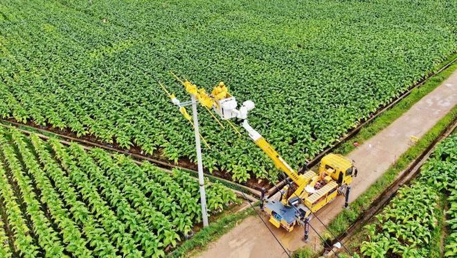 凯发国际首页：锻造电网强引擎赋能春城新跨越(图2)