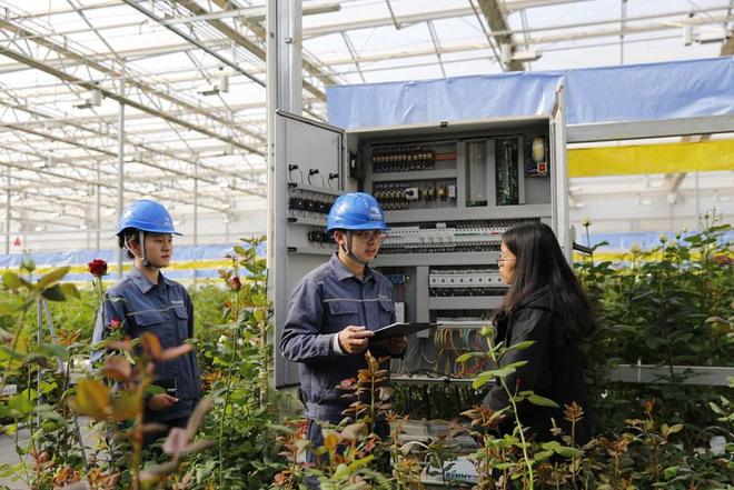 凯发国际首页：锻造电网强引擎赋能春城新跨越(图4)