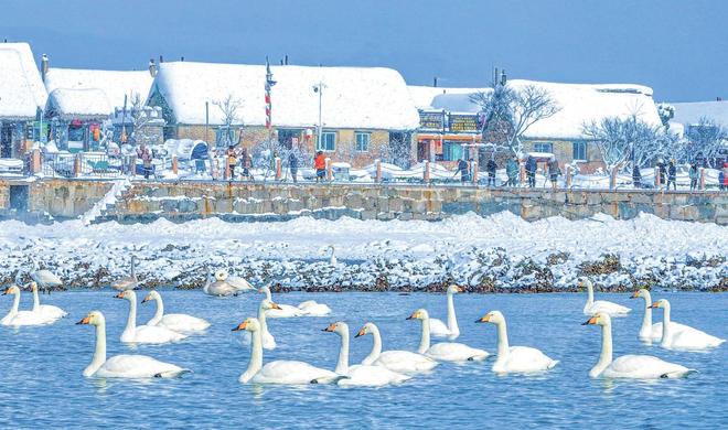 凯发科技：山东荣成锚定“零碳城市”县域示范(图2)