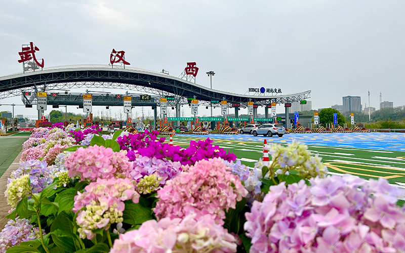 高质量发展这五年丨驿路芳华润万家