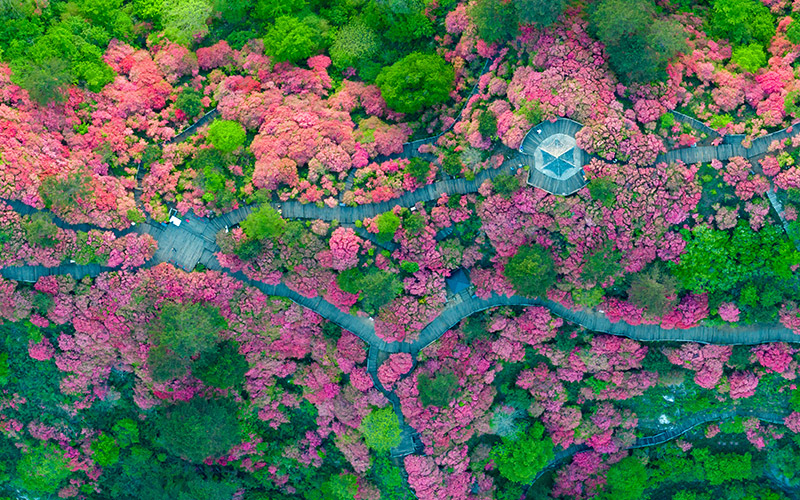 高质量发展这五年丨驿路芳华润万家(图9)