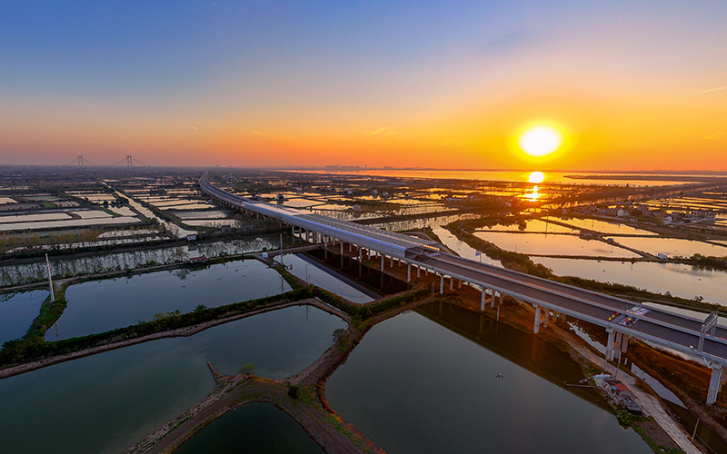 高质量发展这五年丨驿路芳华润万家(图4)