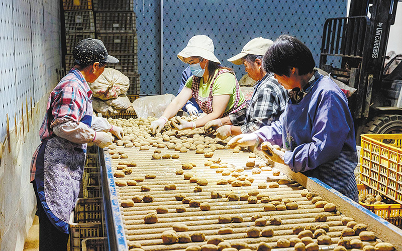 高质量发展这五年丨驿路芳华润万家(图7)