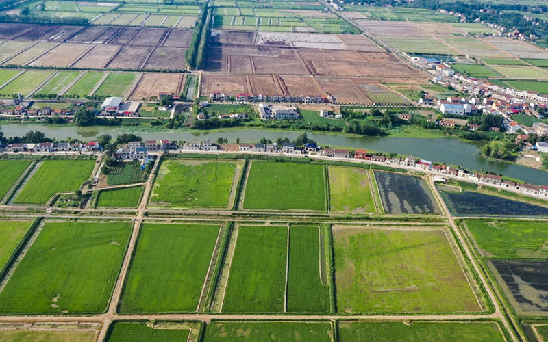 高质量发展这五年丨驿路芳华润万家(图8)