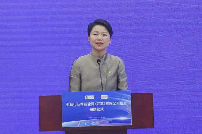 常州夫妇卖充电桩年入40亿再闯港股IPO(图3)